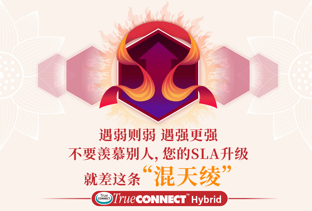 使用像哪吒一样的SD-WAN, 是一种什么体验？