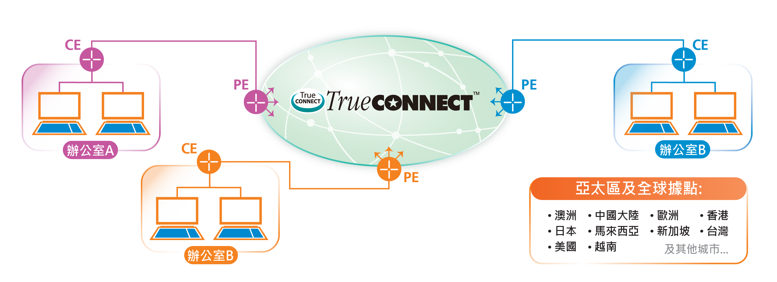 TrueCONNECT™ Premium Network Diagram