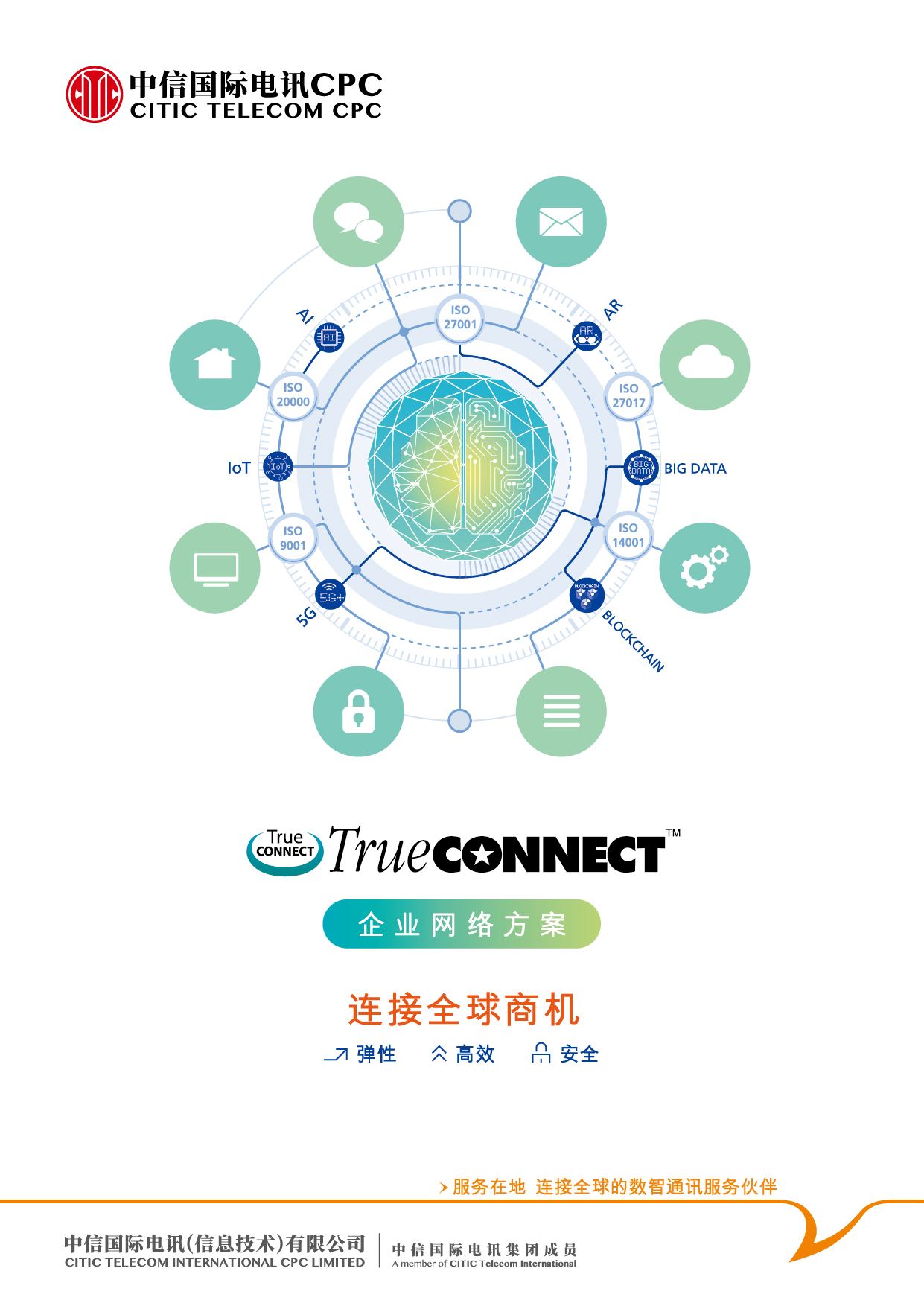 TrueCONNECT™ 专用网络方案 [旗舰产品方案]