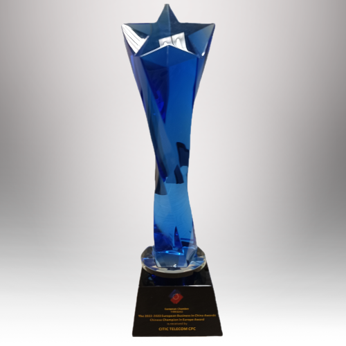 Chinese Champion in Europe Award