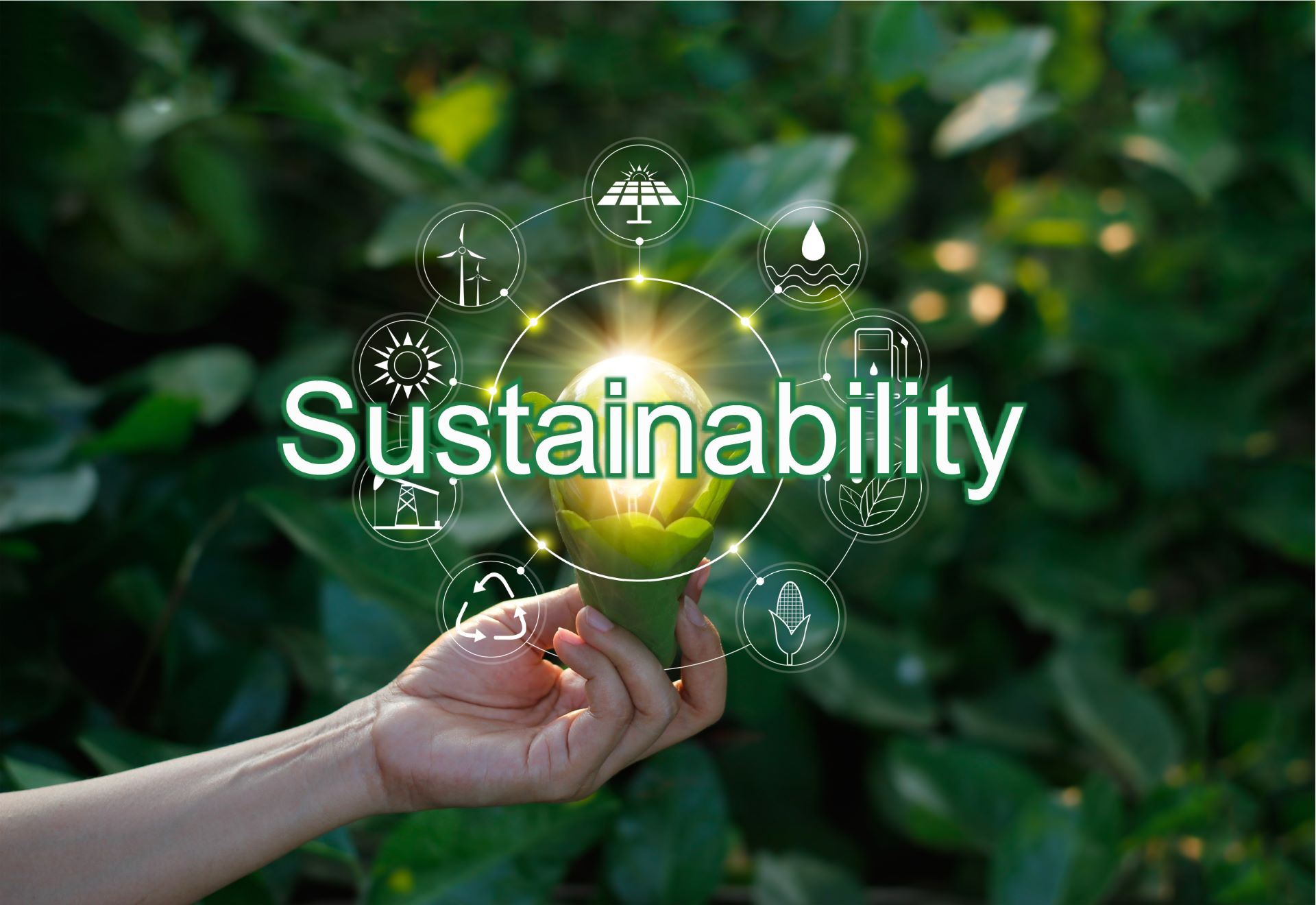 推動企業可持續發展