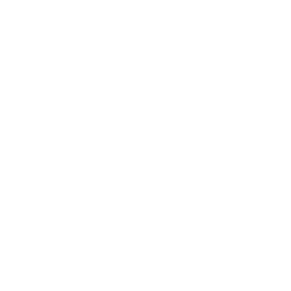 AI Guardrail